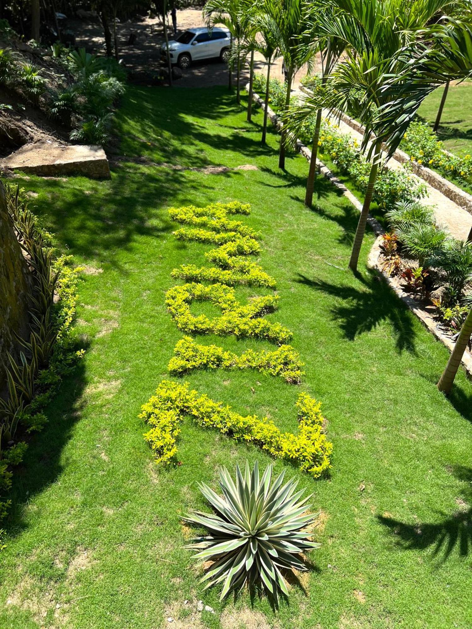 Zirwa Hotel Boutique - Dentro Del Parque Tayrona 埃尔扎伊诺 外观 照片
