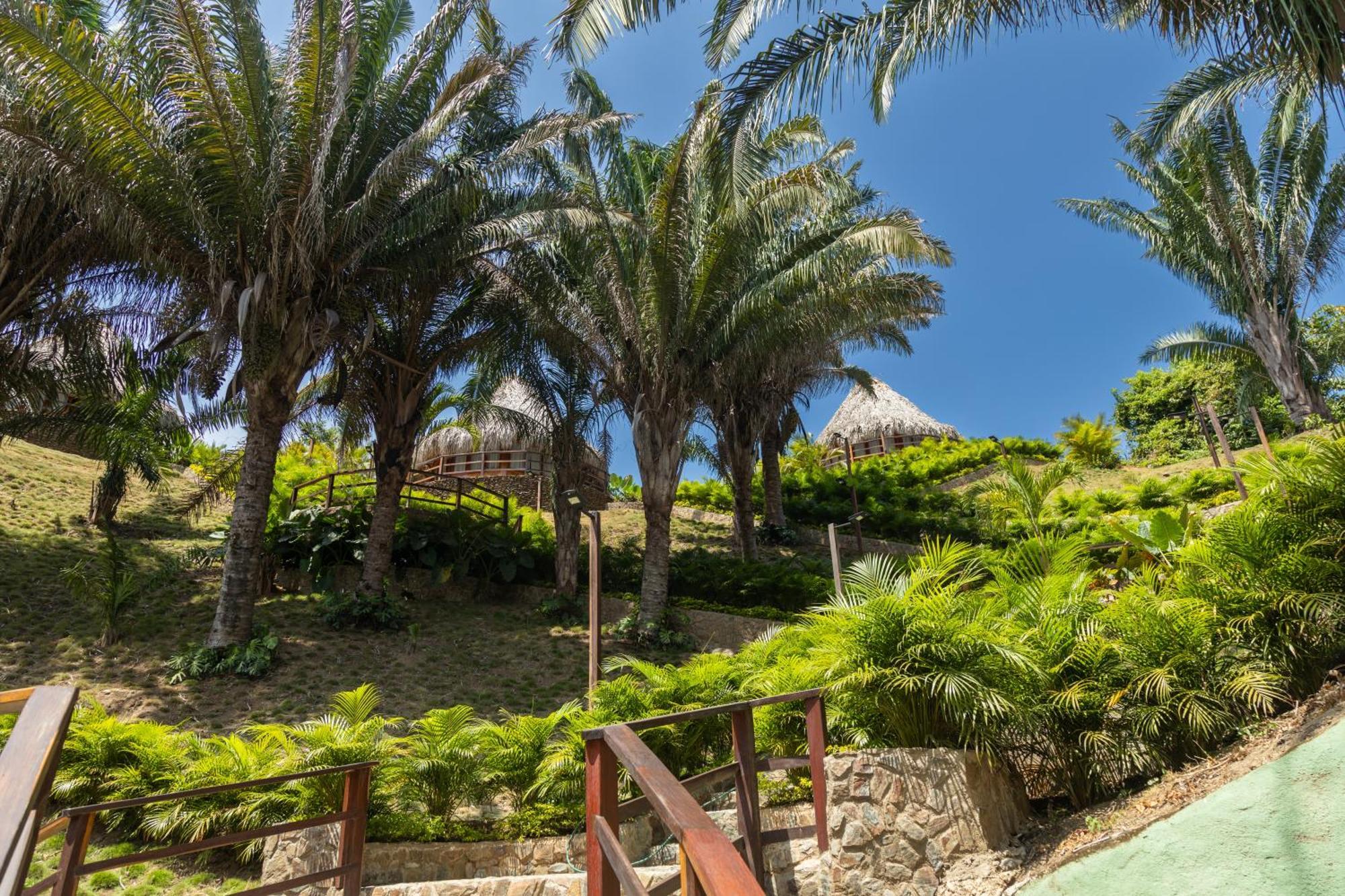 Zirwa Hotel Boutique - Dentro Del Parque Tayrona 埃尔扎伊诺 外观 照片